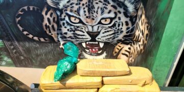 POLÍCIA MILITAR APREENDE 5 KG DE DROGAS E PRENDE SUSPEITOS EM OPERAÇÃO NA BR 425