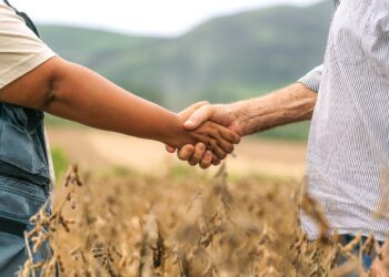 Para associados do Sicredi, LCA é uma alternativa segura e rentável