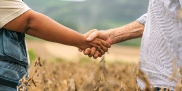 Para associados do Sicredi, LCA é uma alternativa segura e rentável