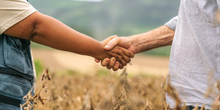 Para associados do Sicredi, LCA é uma alternativa segura e rentável