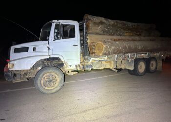 Polícia Militar de Rondônia Apreende Três Caminhões com Madeira Extraída Ilegalmente