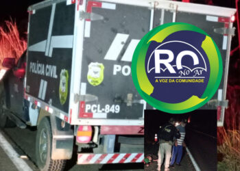 ” Picada de cobra ” morreu atropelado na BR-364