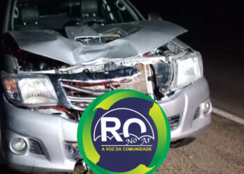 ” Picada de cobra ” morreu atropelado na BR-364