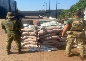 PF e BPFRON/PMPR apreendem veículo carregado com 400 kg de agrotóxicos