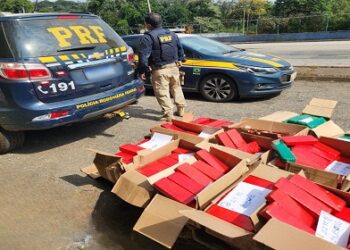 PRF apreende 300 kg de Maconha, em carroceria de caminhão, na BR 267 em Juiz de Fora (MG)
