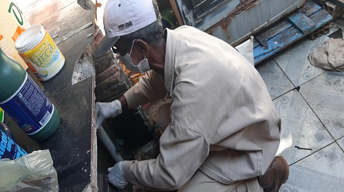 Prefeitura executa ação para controle de roedores em bairro da zona Norte de Porto Velho