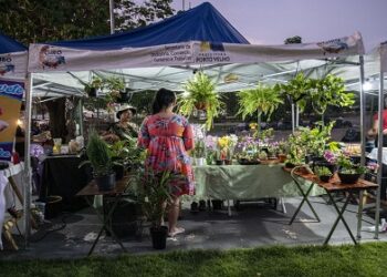 Agenda das feiras de artesanato começa na quinta-feira (11)