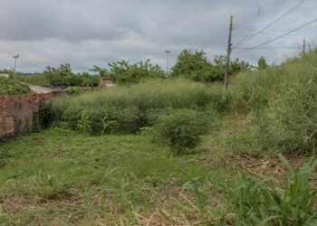 Saiba como colaborar com denúncias de terrenos baldios irregulares em Porto Velho