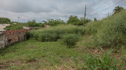 Saiba como colaborar com denúncias de terrenos baldios irregulares em Porto Velho