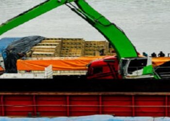 Importação de 48 mil toneladas de fertilizantes impulsiona agronegócio em Rondônia