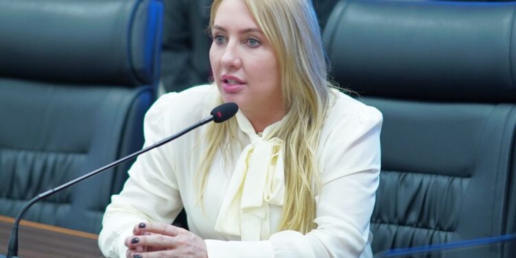 Ieda Chaves pede melhores condições nas RO-205 e 464 para garantir a segurança de usuários