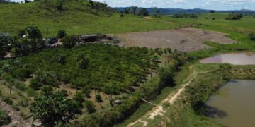 Projeto que prevê R$ 7 milhões para regularização fundiária é aprovado pela Alero