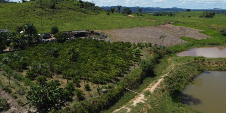 Projeto que prevê R$ 7 milhões para regularização fundiária é aprovado pela Alero