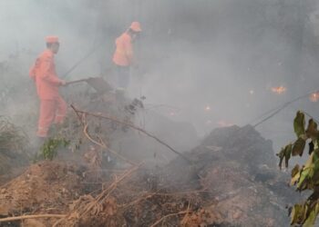 Projetos que liberam mais de R$ 26 milhões para bombeiros atuarem contra queimadas são aprovados na Alero