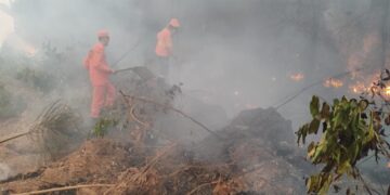 Projetos que liberam mais de R$ 26 milhões para bombeiros atuarem contra queimadas são aprovados na Alero