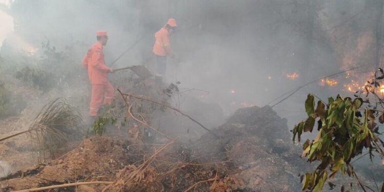 Projetos que liberam mais de R$ 26 milhões para bombeiros atuarem contra queimadas são aprovados na Alero