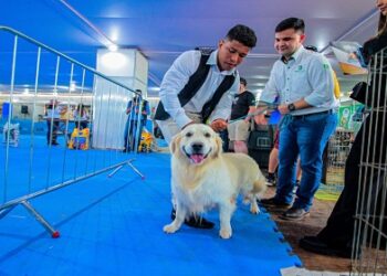 Governo de RO fomenta mercado pet em Porto Velho, com a realização da 2ª Feira de 1º a 7 de agosto