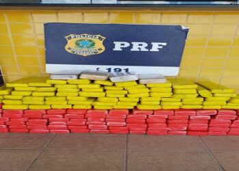 PRF apreende quase 100 Kg de entorpecentes em Feira de Santana (BA)