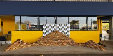 PRF apreende mais 445 kg de skunk em Pimenta Bueno/RO