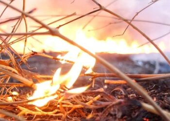 Estiagem: Ministério Público de Rondônia recomenda medidas para coibir queimadas