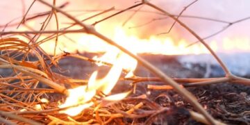 Estiagem: Ministério Público de Rondônia recomenda medidas para coibir queimadas