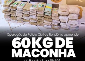 POLÍCIA CIVIL DE RONDÔNIA APREENDE 60 QUILOS DE MACONHA SKUNK EM OPERAÇÃO NA BR-364