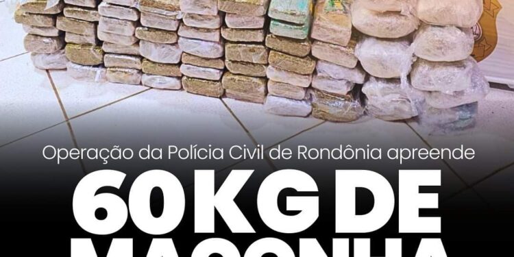 POLÍCIA CIVIL DE RONDÔNIA APREENDE 60 QUILOS DE MACONHA SKUNK EM OPERAÇÃO NA BR-364