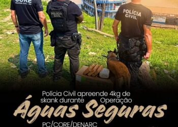 POLÍCIA CIVIL DE RONDÔNIA APREENDE 4KG DE SKANK DURANTE OPERAÇÃO ÁGUAS SEGURAS COM APOIO DO NÚCLEO DE OPERAÇÕES COM CÃES