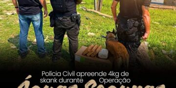 POLÍCIA CIVIL DE RONDÔNIA APREENDE 4KG DE SKANK DURANTE OPERAÇÃO ÁGUAS SEGURAS COM APOIO DO NÚCLEO DE OPERAÇÕES COM CÃES