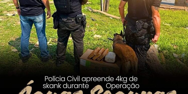 POLÍCIA CIVIL DE RONDÔNIA APREENDE 4KG DE SKANK DURANTE OPERAÇÃO ÁGUAS SEGURAS COM APOIO DO NÚCLEO DE OPERAÇÕES COM CÃES
