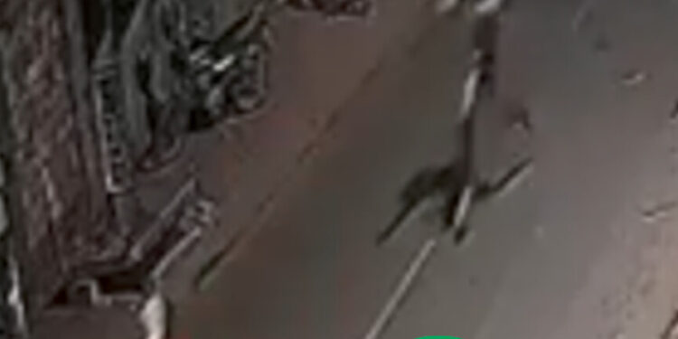VEJA O VÍDEO: Homem escapou de morrer pós rival errou os disparos a poucos metros