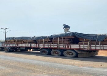 Em Itapuã do Oeste/RO, PRF identifica transporte irregular de madeira