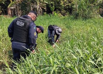 OPERAÇÃO CONJUNTA ENTRE PM E PC DESARTICULA FACÇÃO CRIMINOSA