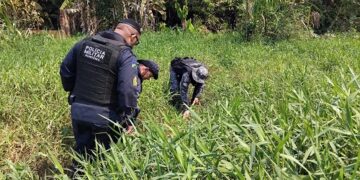 OPERAÇÃO CONJUNTA ENTRE PM E PC DESARTICULA FACÇÃO CRIMINOSA