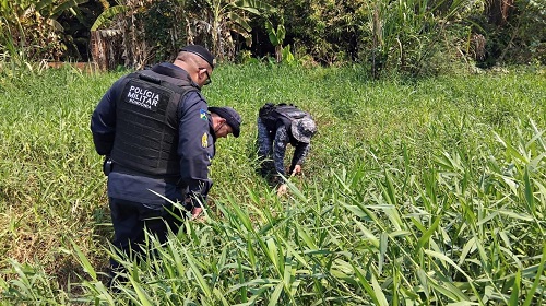 OPERAÇÃO CONJUNTA ENTRE PM E PC DESARTICULA FACÇÃO CRIMINOSA