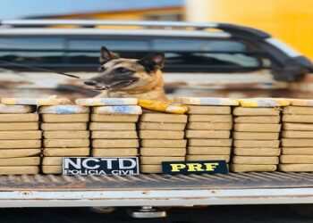 PRF apreende mais de 60kg de drogas escondidos na carroceria de caminhonete, em ação conjunta com o PCCE