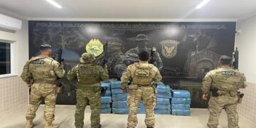 PF, BPFRON e BOPE/PMPR apreendem mais de meia tonelada de maconha
