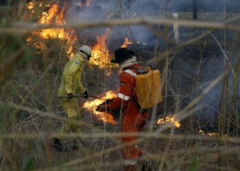Governo de RO decreta mobilização máxima de combate a incêndios florestais no estado