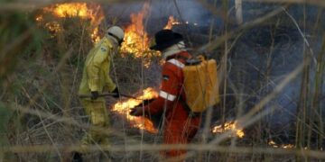 Governo de RO decreta mobilização máxima de combate a incêndios florestais no estado