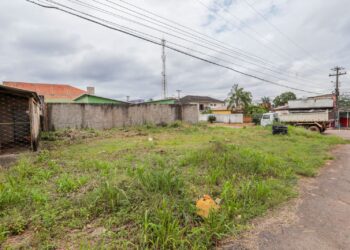 Descarte de lixo em terrenos baldios deve ser denunciado