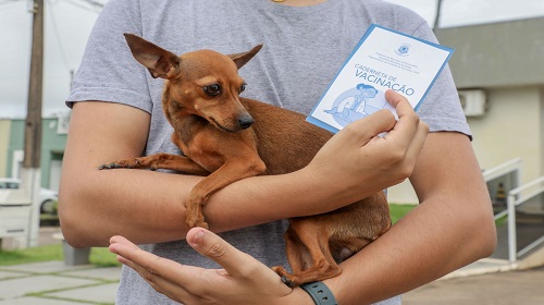Vacinação antirrábica no Parque Circuito tem novo horário de atendimento