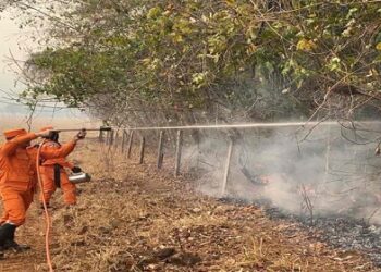 Força-tarefa do Corpo de Bombeiros Militar de Rondônia executa ação de combate a incêndio florestal, em Costa Marques