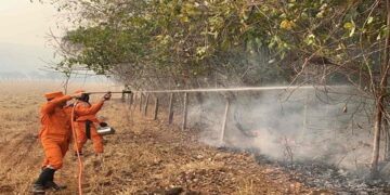 Força-tarefa do Corpo de Bombeiros Militar de Rondônia executa ação de combate a incêndio florestal, em Costa Marques