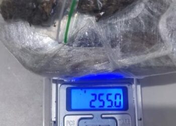 Polícia Militar Prende Dois Jovens por Furto e Tráfico de Drogas em Ariquemes