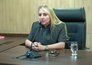Ieda Chaves solicita substituição de ponte de madeira por concreto sobre o Rio Guarajús, na RO-499