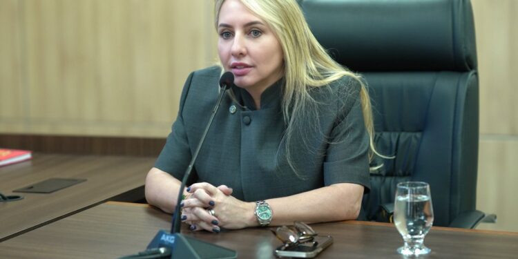 Ieda Chaves solicita substituição de ponte de madeira por concreto sobre o Rio Guarajús, na RO-499