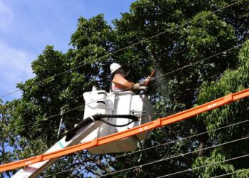 Dra. Taíssa cobra melhorias e Energisa inicia manutenção na Aldeia Tanajura, em Guajará-Mirim