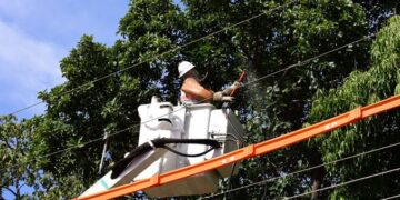 Dra. Taíssa cobra melhorias e Energisa inicia manutenção na Aldeia Tanajura, em Guajará-Mirim