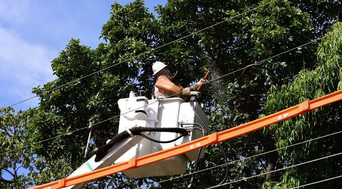 Dra. Taíssa cobra melhorias e Energisa inicia manutenção na Aldeia Tanajura, em Guajará-Mirim