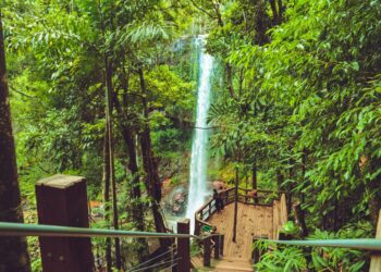 Deputados aprovam recursos para o turismo de Rondônia